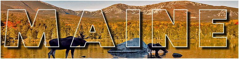 M. S. McKenzie is from the great state of Maine